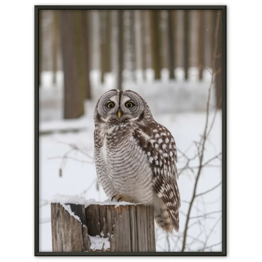 Bunter Poster des Vøringsfossen Wasserfalls in Norwegen 1