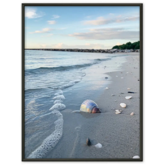 Poster unberührte Küste mit Wellen und Muscheln für entspannte Wände