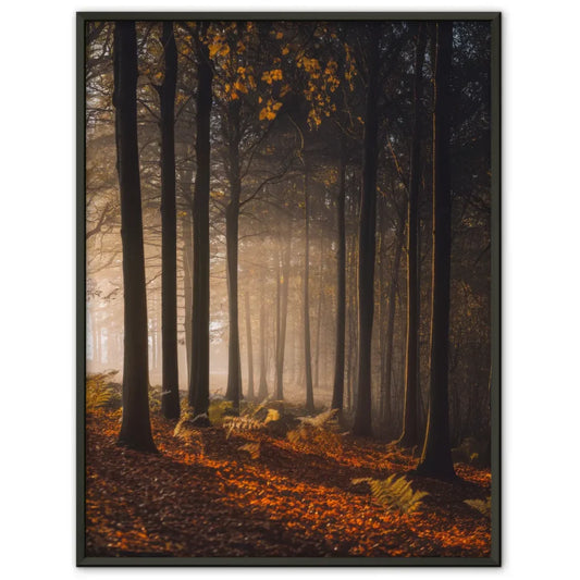 Ruhiger Wald Poster Herbst mit goldenen Tönen und nebliger Atmosphäre