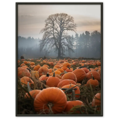 Herbststimmung mit Kürbissen Poster für Naturliebhaber und Deko