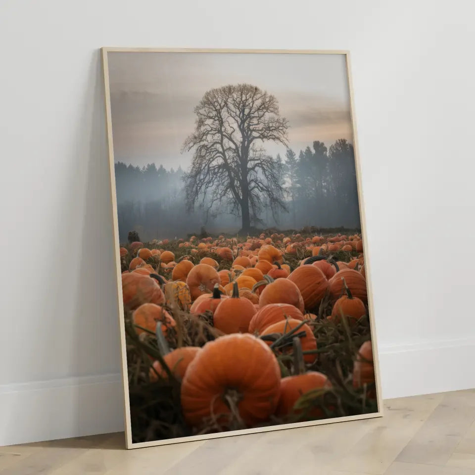 Herbststimmung mit Kürbissen Poster für Naturliebhaber und Deko