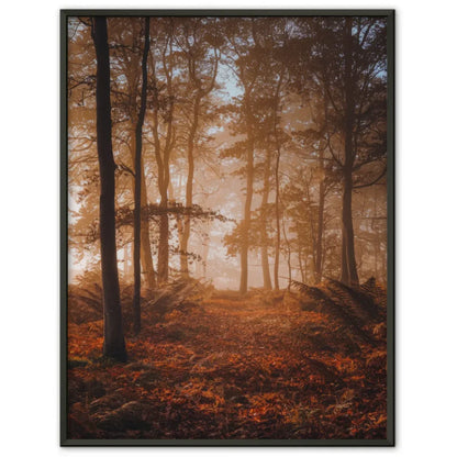 Ruhiger Herbstwald Poster mit goldenen Lichtakzenten und Nebel 70x50cm