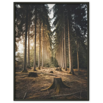 Wald Poster mit ruhiger Szene und hohen Bäumen für Naturliebhaber