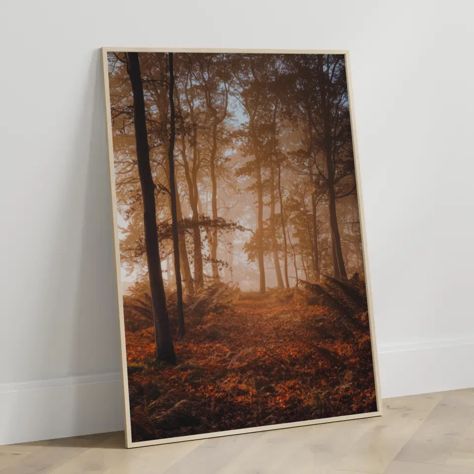 Ruhiger Herbstwald Poster mit goldenen Lichtakzenten und Nebel 70x50cm