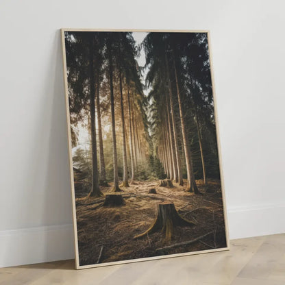 Wald Poster mit ruhiger Szene und hohen Bäumen für Naturliebhaber