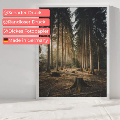 Wald Poster mit ruhiger Szene und hohen Bäumen für Naturliebhaber