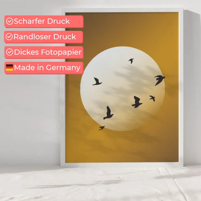 Sonnenaufgang über Bergen: 'Dream big, work hard' – Für mehr Optimismus 6