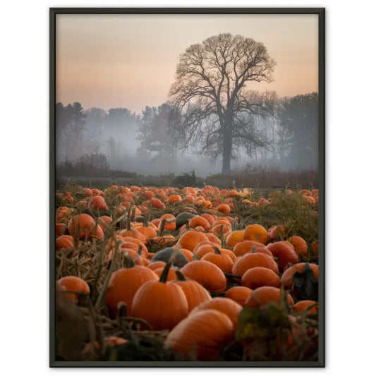 Poster mit Quallen im sanften Licht für entspanntes Ambiente 1