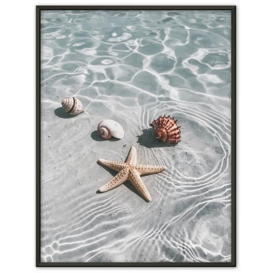 Poster Meereslandschaft mit Muscheln und Seestern in sanften Blautönen