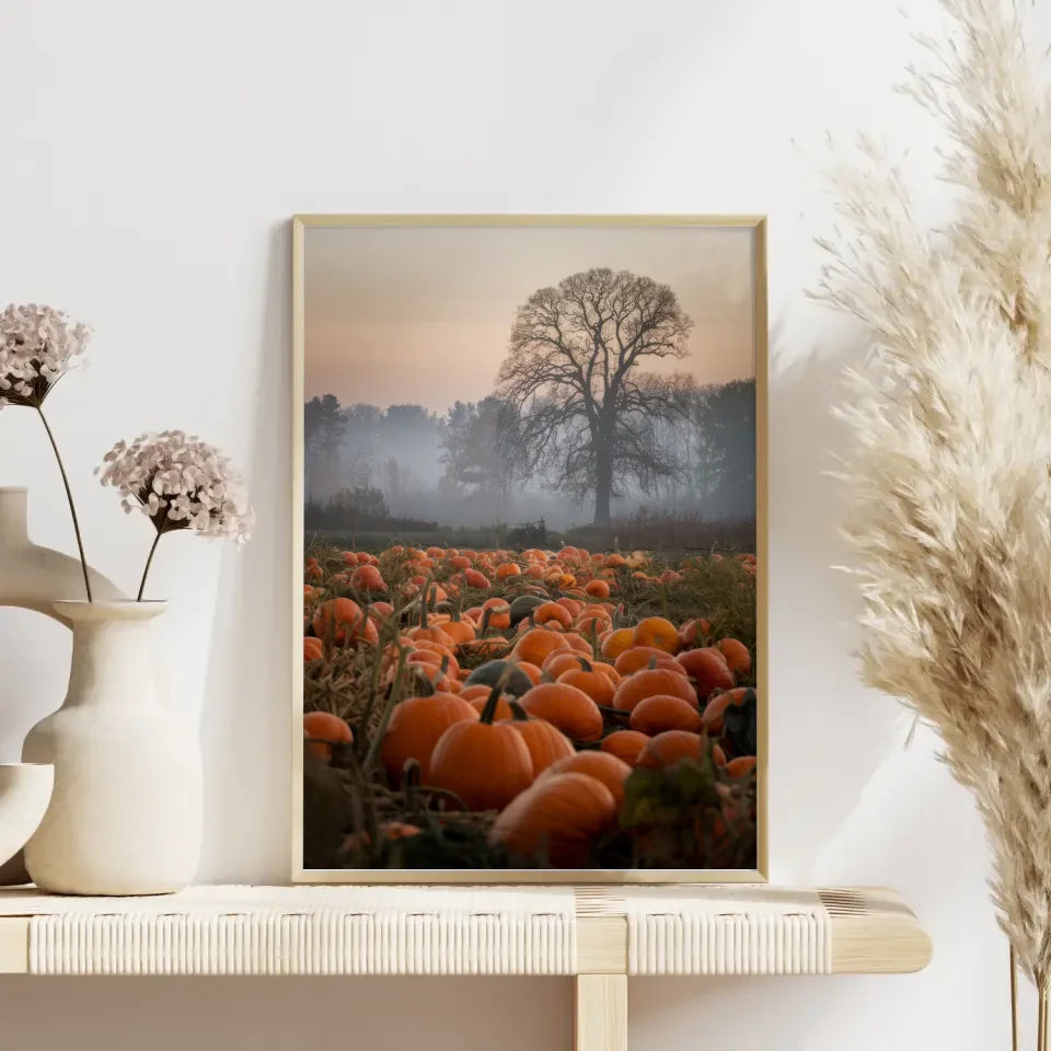 Poster mit Quallen im sanften Licht für entspanntes Ambiente 4