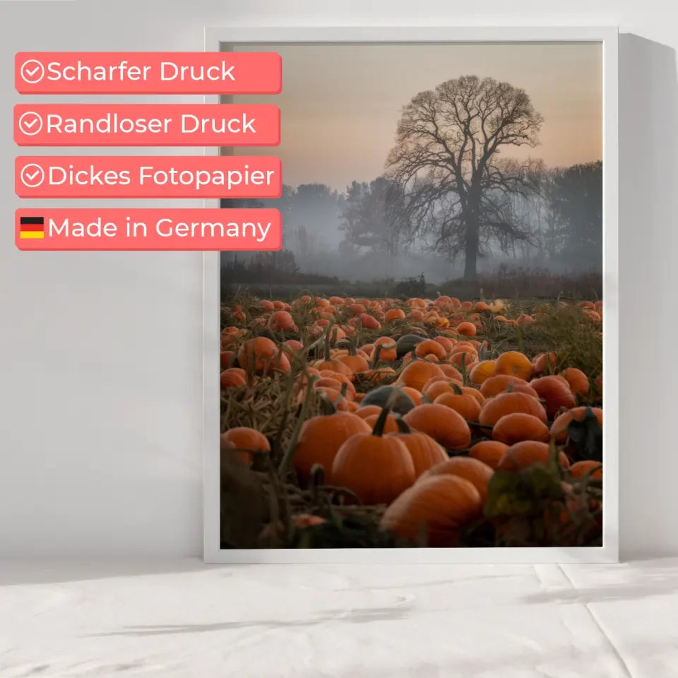 Poster mit Quallen im sanften Licht für entspanntes Ambiente 6