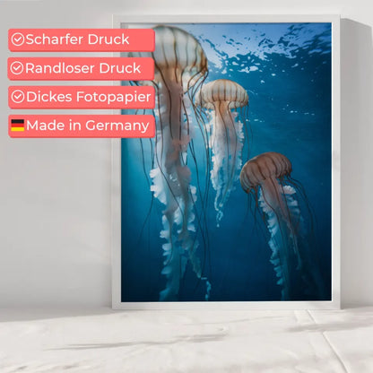 Poster mit Quallen im sanften Licht unter Wasser für eine ruhige Atmosphäre