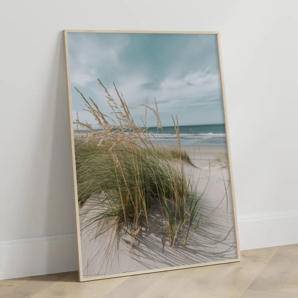 Poster mit Naturmotiv Samtgras Dünen Strand und Meer in Nahaufnahme