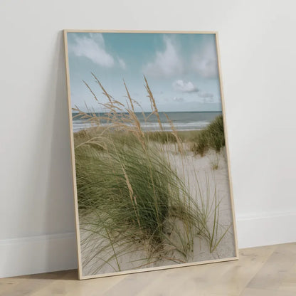 Poster mit Naturmotiv Samtgras Dünen Strand und Meer in Nahaufnahme