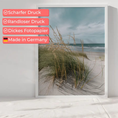 Poster mit Naturmotiv Samtgras Dünen Strand und Meer in Nahaufnahme