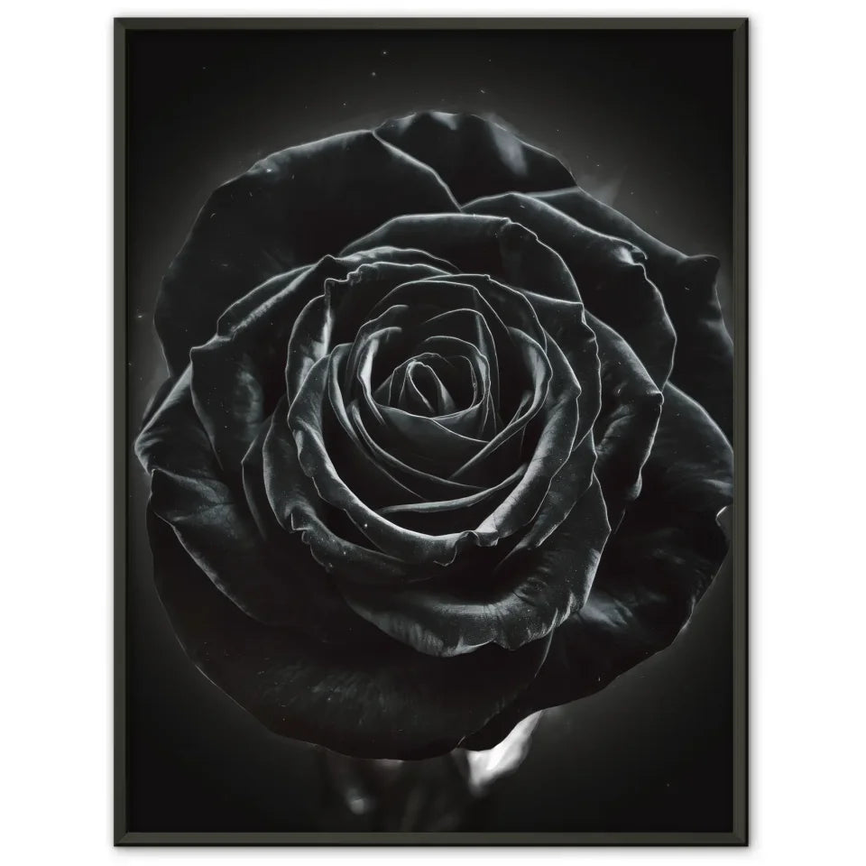 Schwarze Rose Poster mit geheimnisvollem Glanz