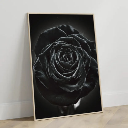 Schwarze Rose Poster mit geheimnisvollem Glanz