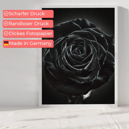 Schwarze Rose Poster mit geheimnisvollem Glanz