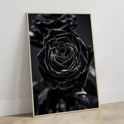 Schwarze Rose Poster mit samtigen Blüten auf dunklem Hintergrund 3