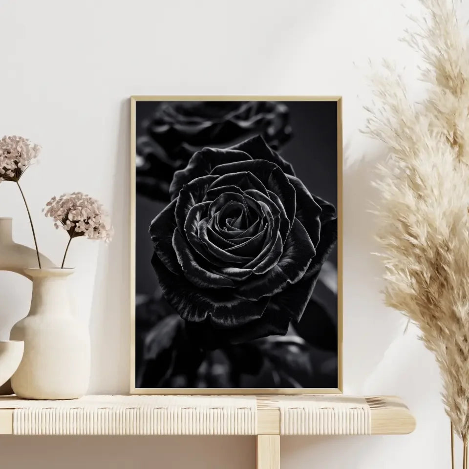 Schwarze Rose Poster mit samtigen Blüten auf dunklem Hintergrund 4