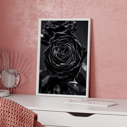 Schwarze Rose Poster mit samtigen Blüten auf dunklem Hintergrund 5