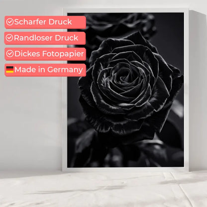 Schwarze Rose Poster mit samtigen Blüten auf dunklem Hintergrund 6