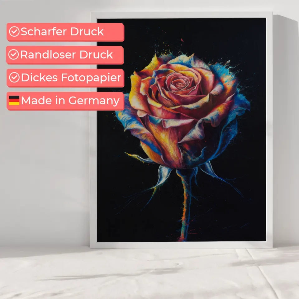 Lebendige Rose Poster auf schwarzer Leinwand für auffällige Akzente 6