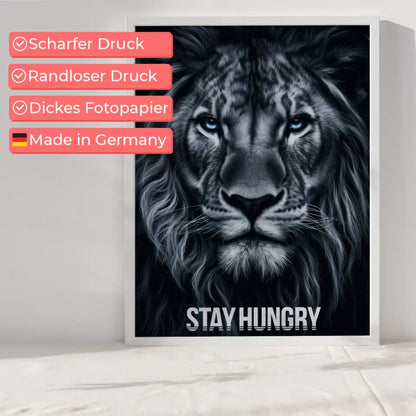 Majestätischer Löwen Poster mit intensiven blauen Augen und Botschaft