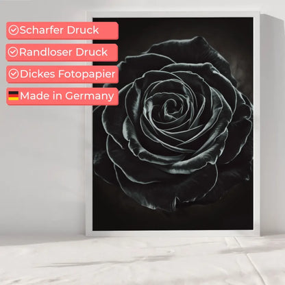 Poster schwarze Rose in Nahaufnahme mystische Schönheit