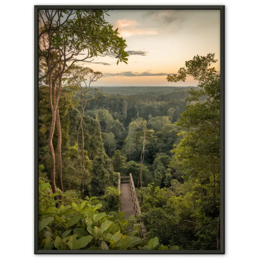 Poster Amazonas-Regenwald faszinierende Panorama Bild Kunst 1