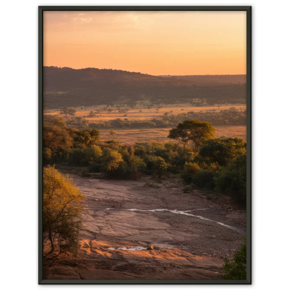 Poster Krüger-Nationalpark Südafrika zur goldenen Stunde 1
