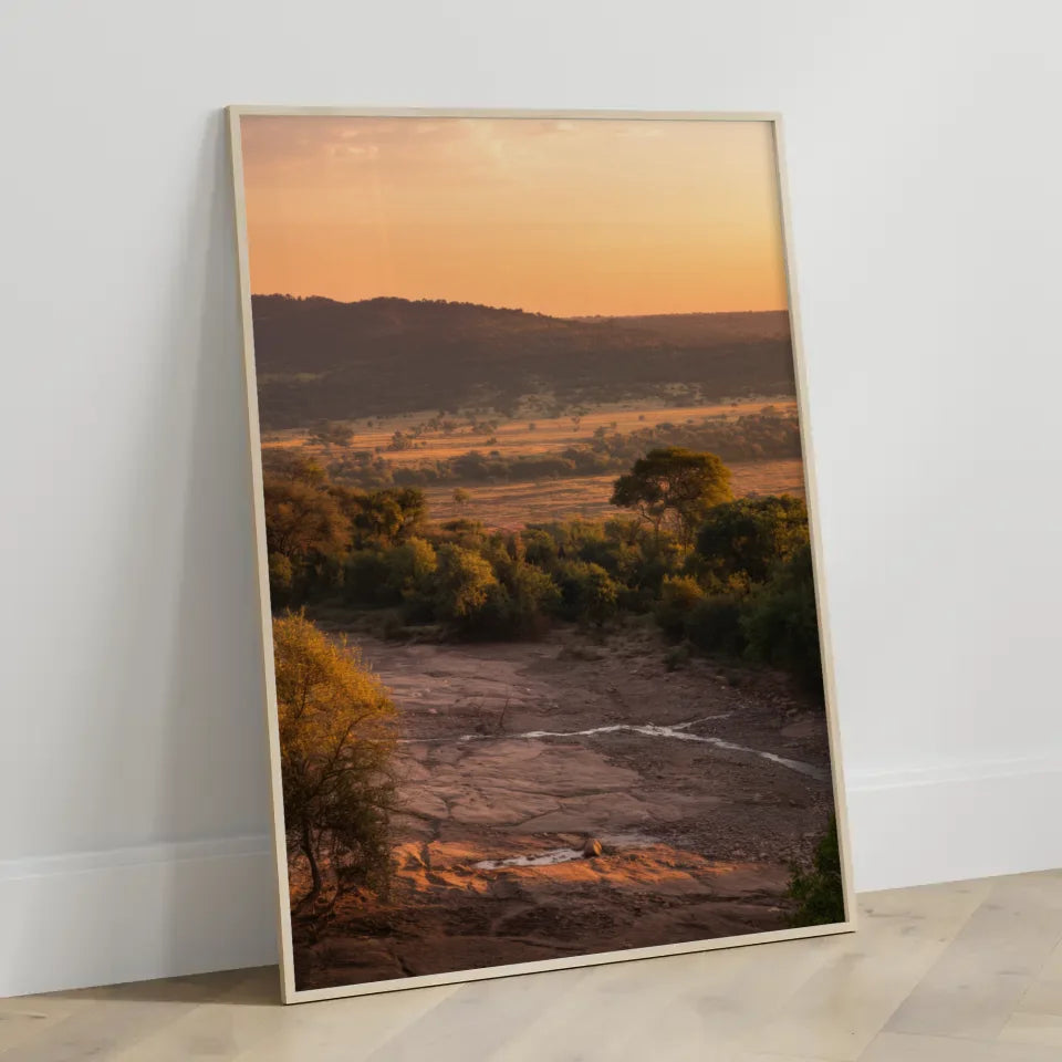 Poster Krüger-Nationalpark Südafrika zur goldenen Stunde 3