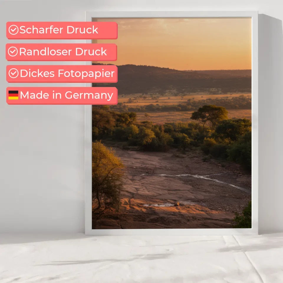 Poster Krüger-Nationalpark Südafrika zur goldenen Stunde 6