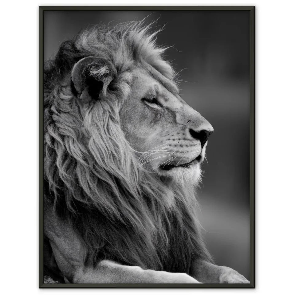 Majestätischer Löwen Poster in monochromatischem Stil für Ihr Zuhause 1