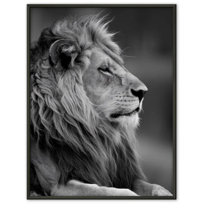 Majestätischer Löwen Poster in monochromatischem Stil für Ihr Zuhause 1