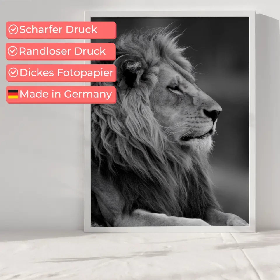 Majestätischer Löwen Poster in monochromatischem Stil für Ihr Zuhause 6