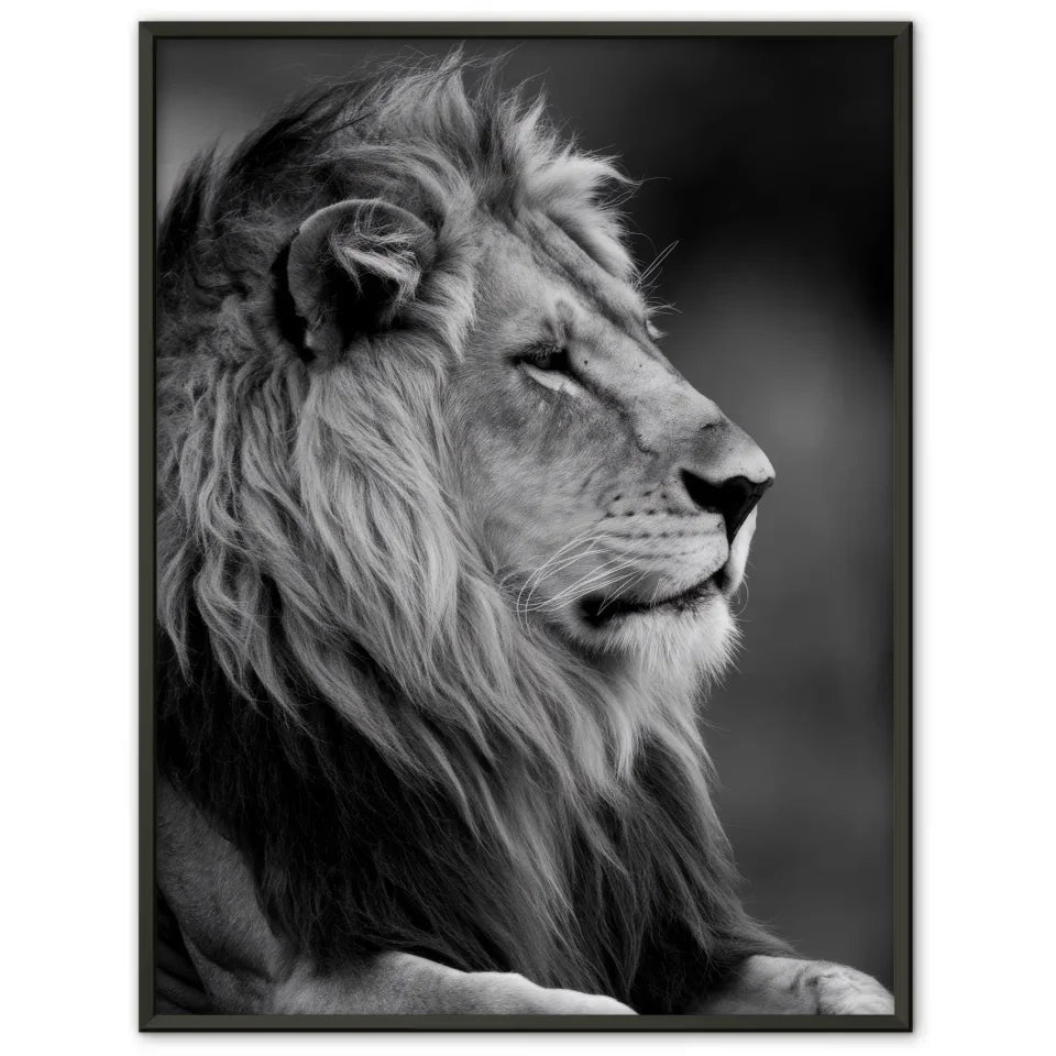 Majestätischer Löwe Poster im monochromatischen Stil 1
