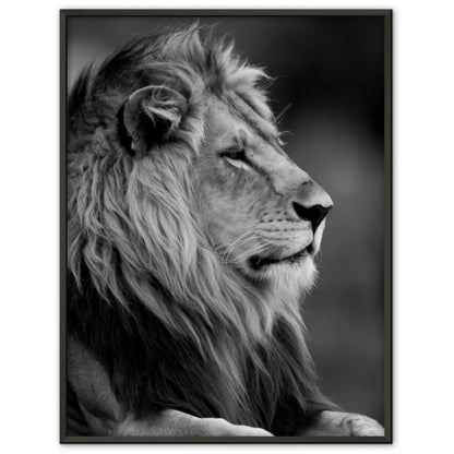 Majestätischer Löwe Poster im monochromatischen Stil 1
