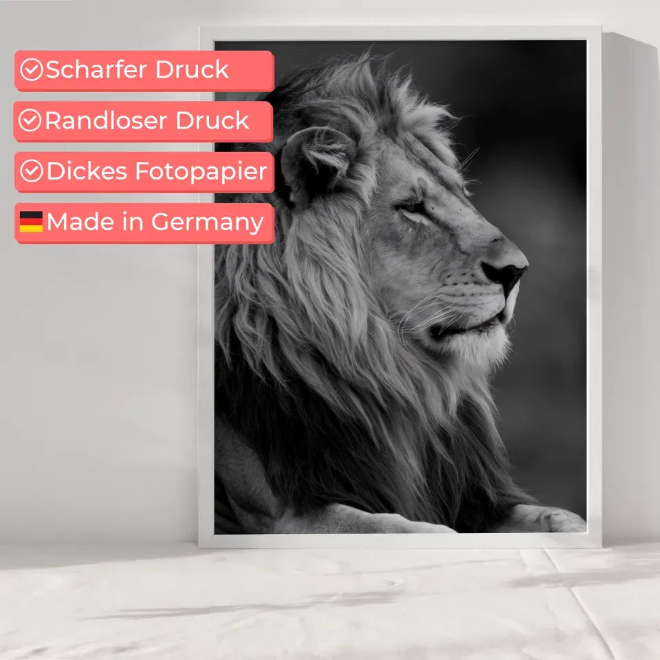 Majestätischer Löwe Poster im monochromatischen Stil 6