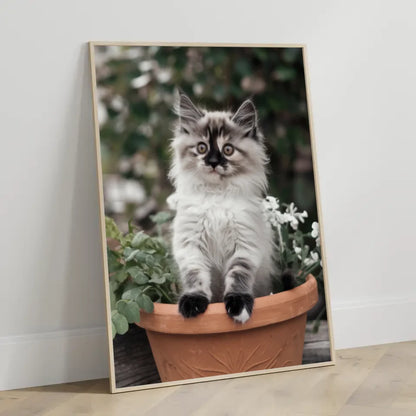 Poster süßes Kätzchen im Blumentopf mit großen Augen