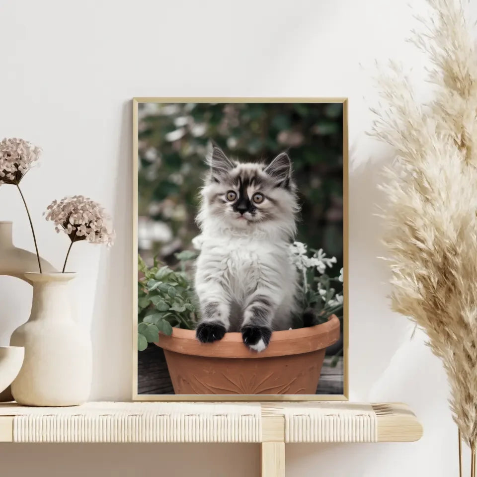 Poster süßes Kätzchen im Blumentopf mit großen Augen