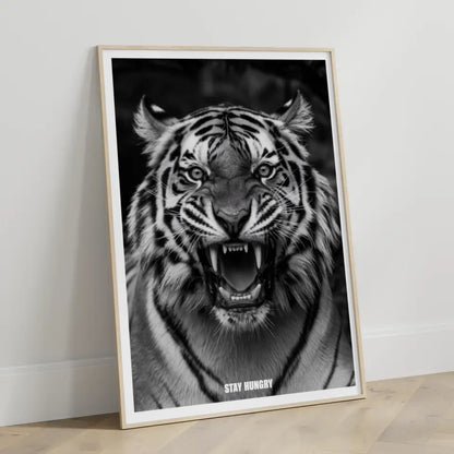 Tiger Poster mit starkem Fokus und dem Schriftzug Stay Hungry 3
