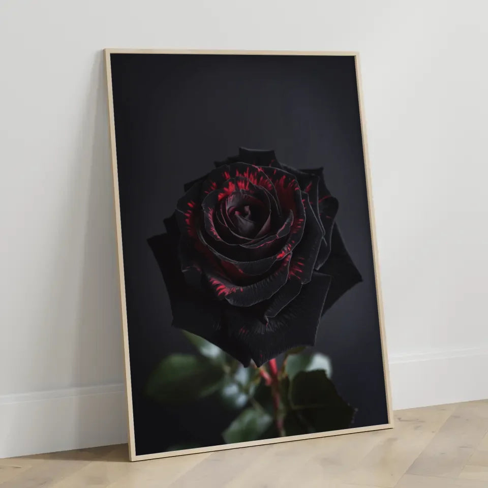 Schwarze Rose Poster mit tiefroten Kontrasten für Romantik 3