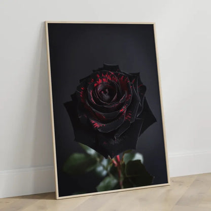Schwarze Rose Poster mit tiefroten Kontrasten für Romantik 3