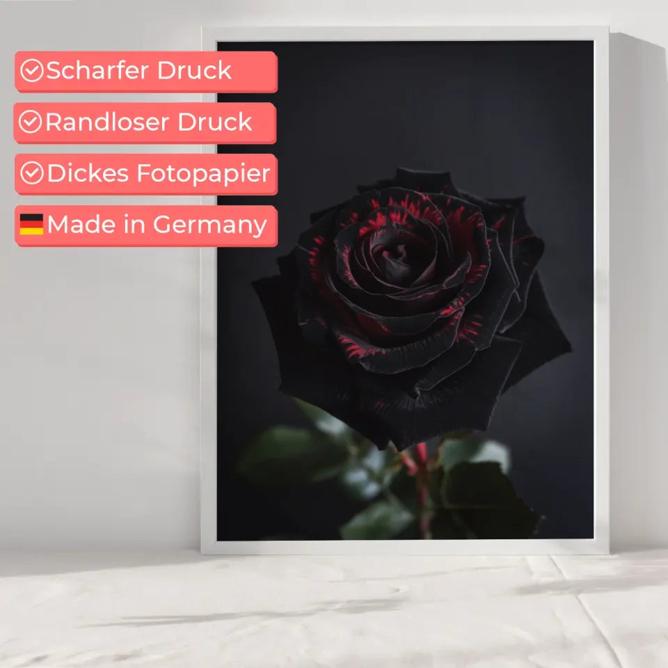 Schwarze Rose Poster mit tiefroten Kontrasten für Romantik 6