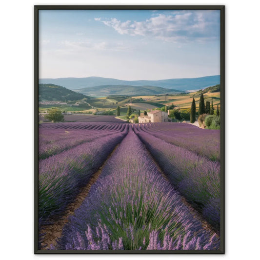 Lavendelfelder Provence Poster in bunten Farben für dein Zuhause