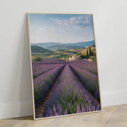Lavendelfelder Provence Poster in bunten Farben für dein Zuhause 3